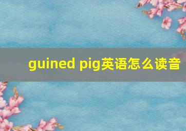 guined pig英语怎么读音